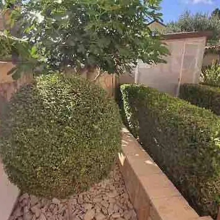 ヴィラ Mala - Pool - Jacuzzi - 5 Min. Zum *